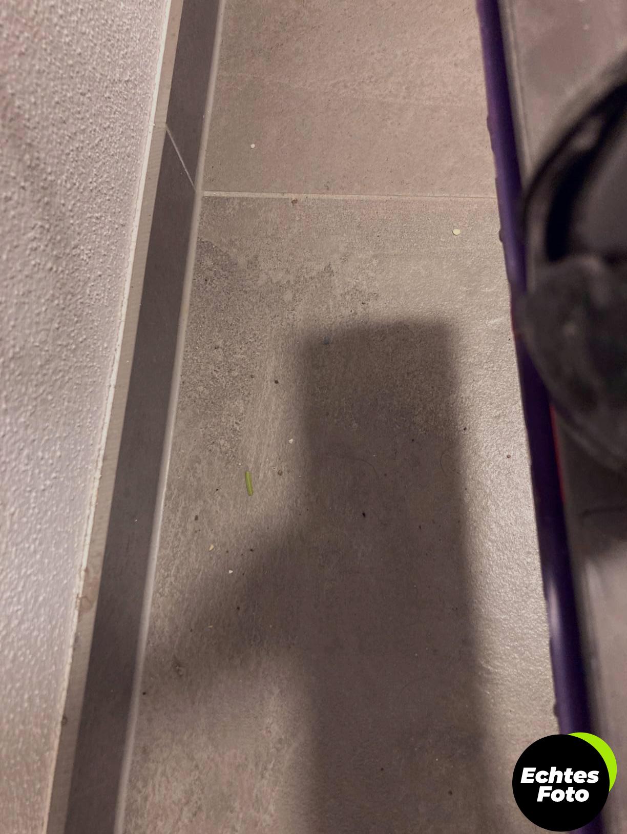 dyson-v12-detect-slim-akku-staubsauger-foto-2